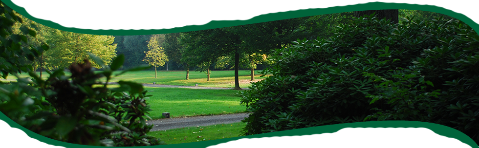 Tuinen Mestdagh - Bedrijfstuinen