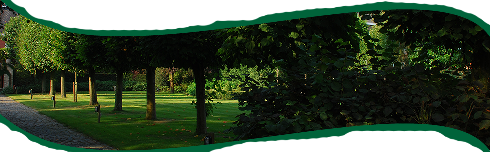 Tuinen Mestdagh - Bedrijfstuinen