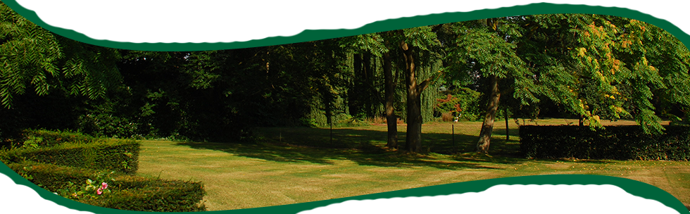 Tuinen Mestdagh - Bedrijfstuinen