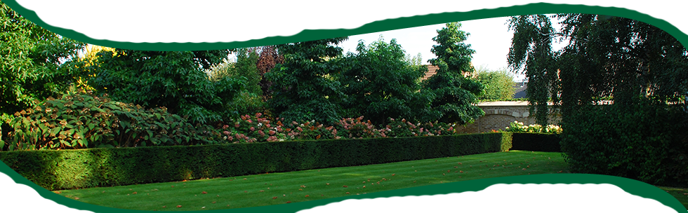 Tuinen Mestdagh - Borders