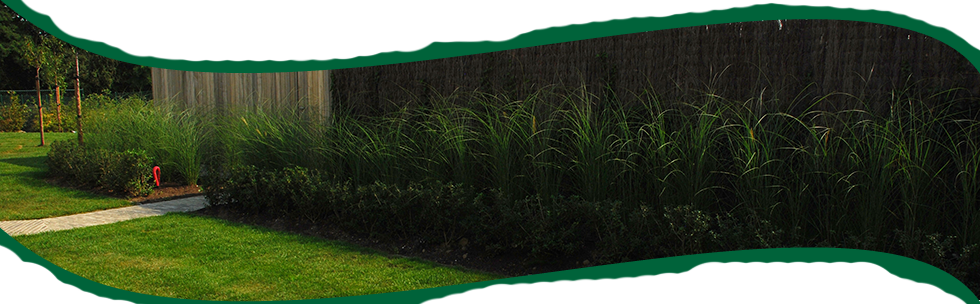 Tuinen Mestdagh - Borders