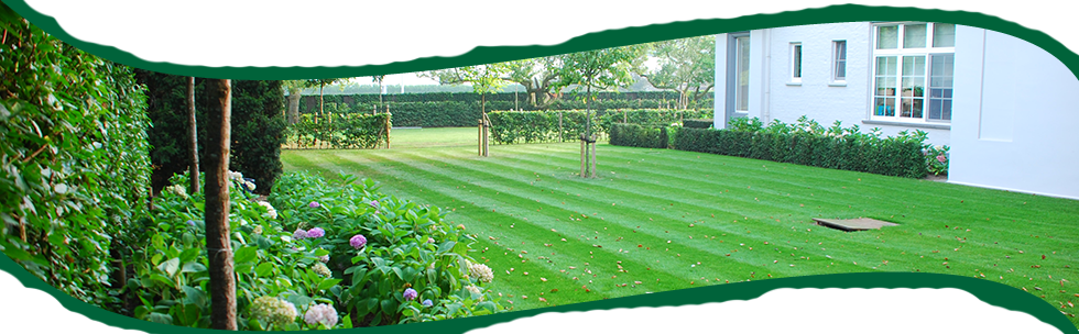 Tuinen Mestdagh - Gazons