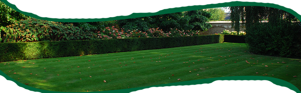 Tuinen Mestdagh - Gazons