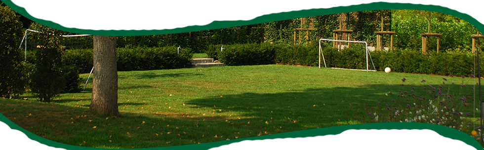 Tuinen Mestdagh - Gazons