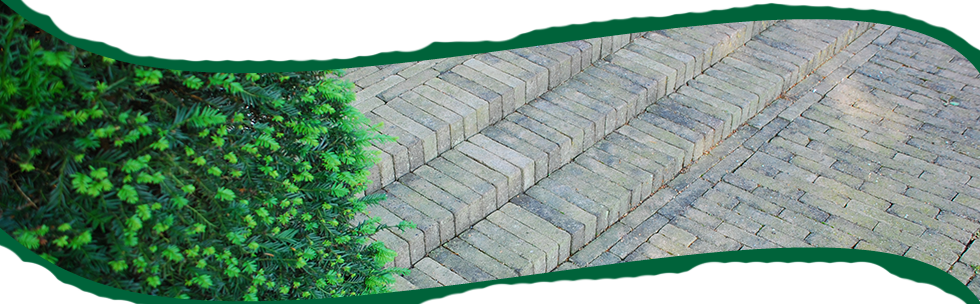 Tuinen Mestdagh - Terrassen