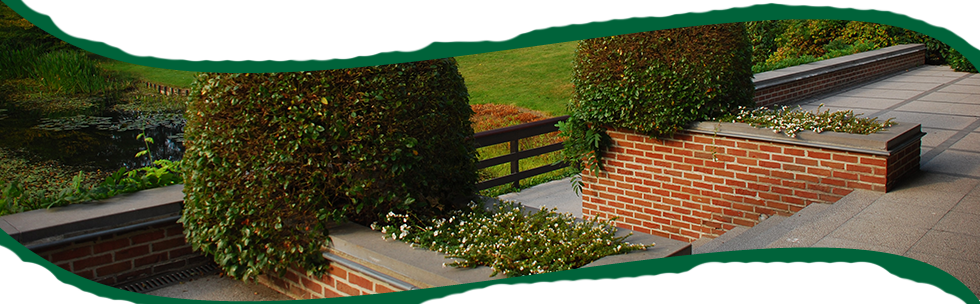 Tuinen Mestdagh - Terrassen